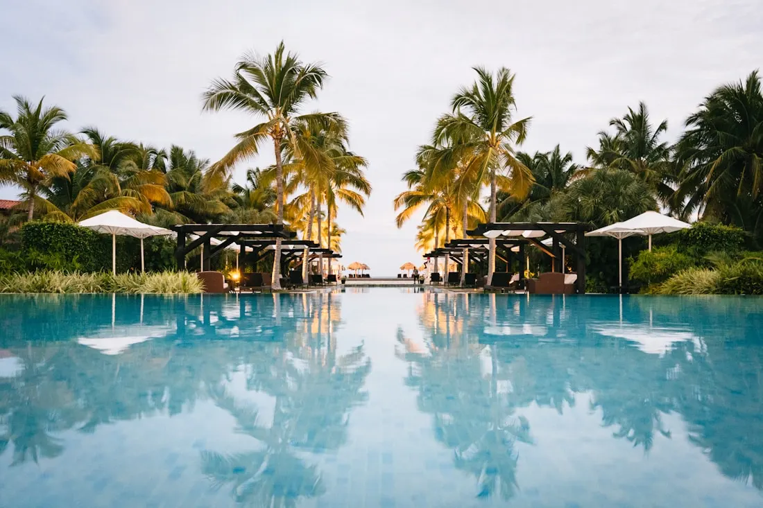 Palm-lined infinity pool at a beach resort